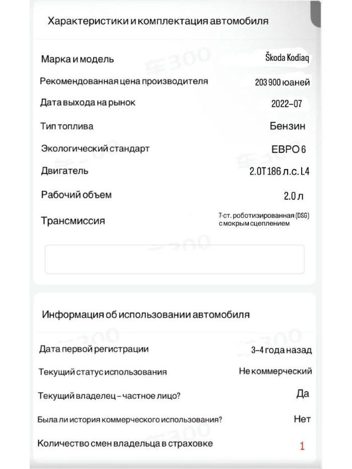 Пример отчета 5