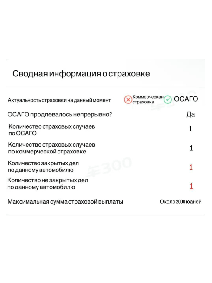 Пример отчета 6